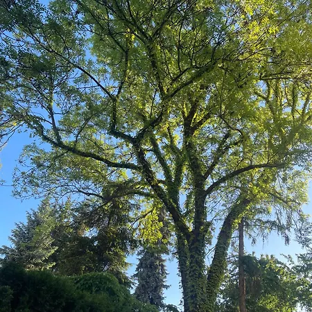 Twoj Cichy Azyl W Sercu Warszawy - Studiosaskakepa Apartment Warsaw